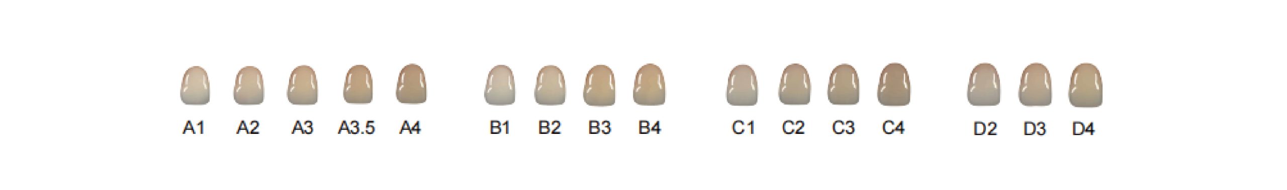 Mammudent ST-C zirconia blocks comprehensive shades guide for predictable clinical results.
