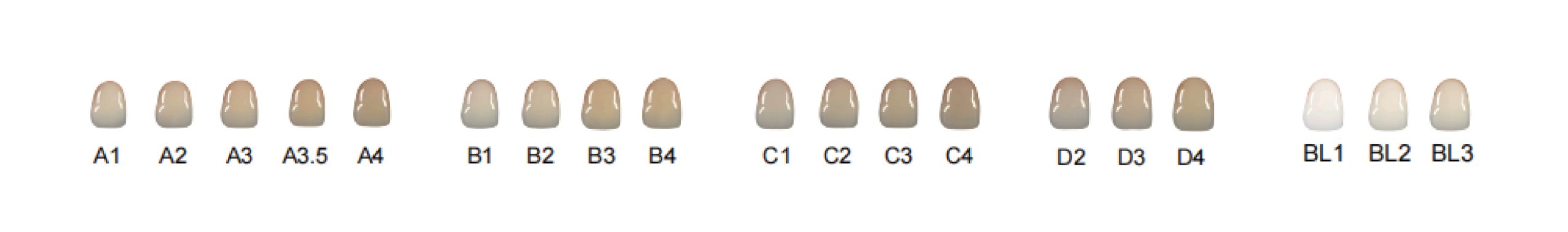Dental Color VITA Shades