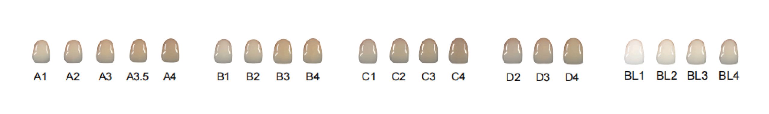 Mammudent ST-ML pre-shaded zirconia blocks shade guide for reduced manual staining.